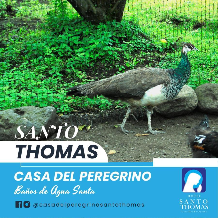 Casa del Peregrino Santo Thomas Baños Exterior foto